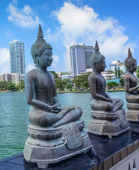 Rasika Ceylon Travel Bug